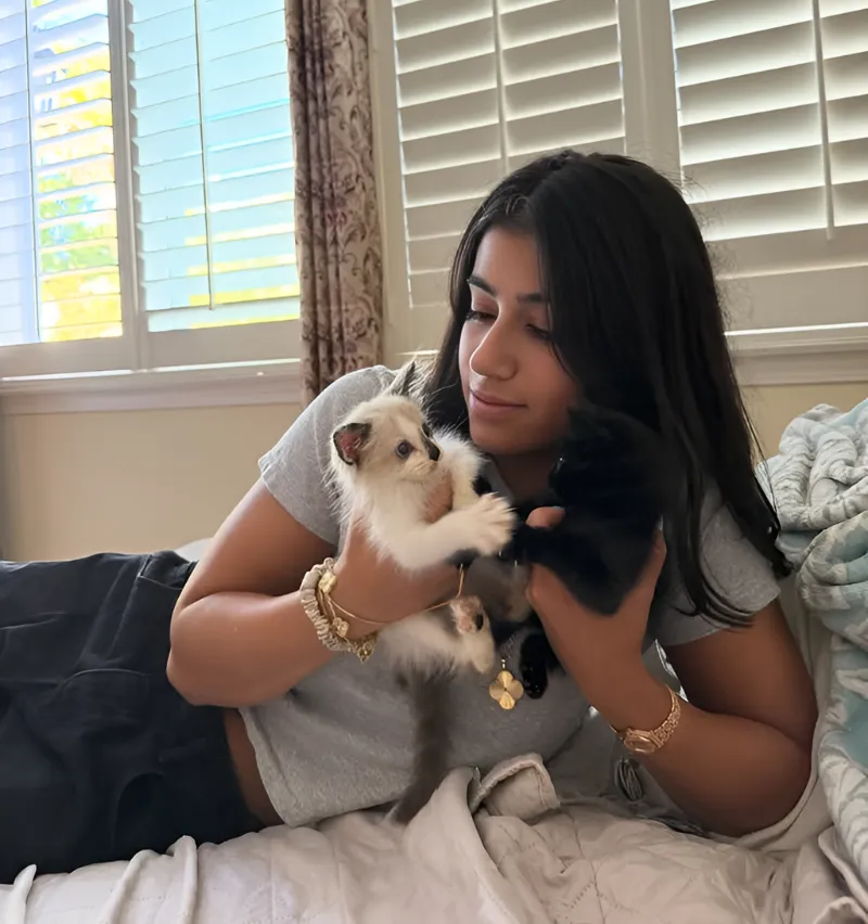 Sara Saffari Social Media