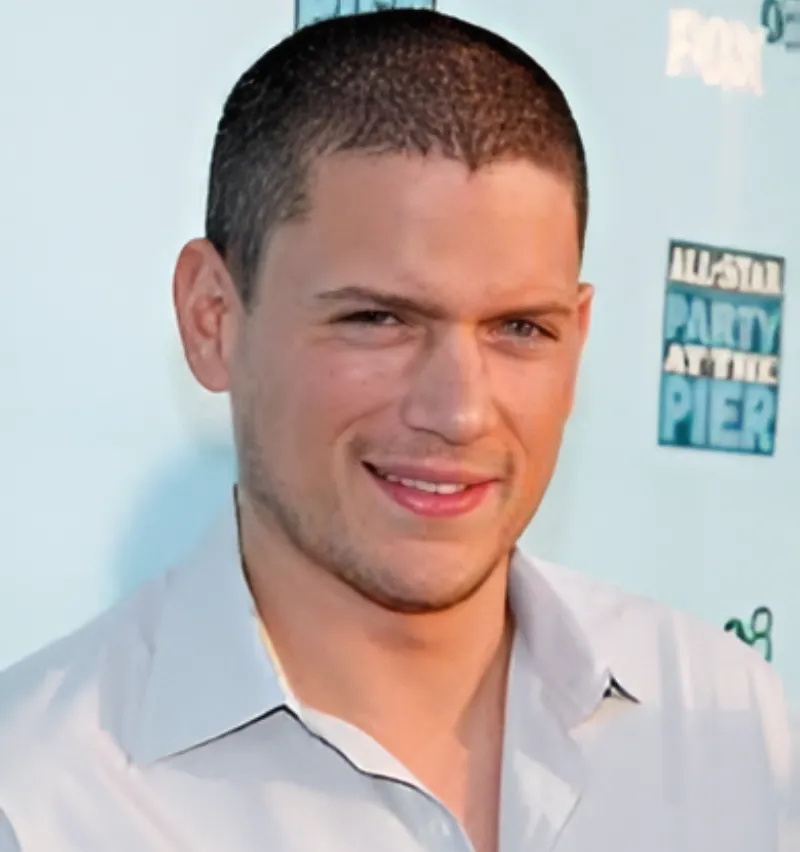 Wentworth Miller Biography