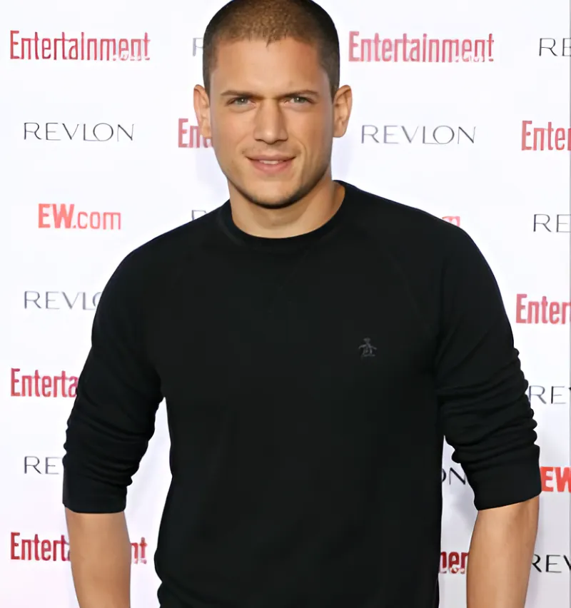 Wentworth Miller Net Worth